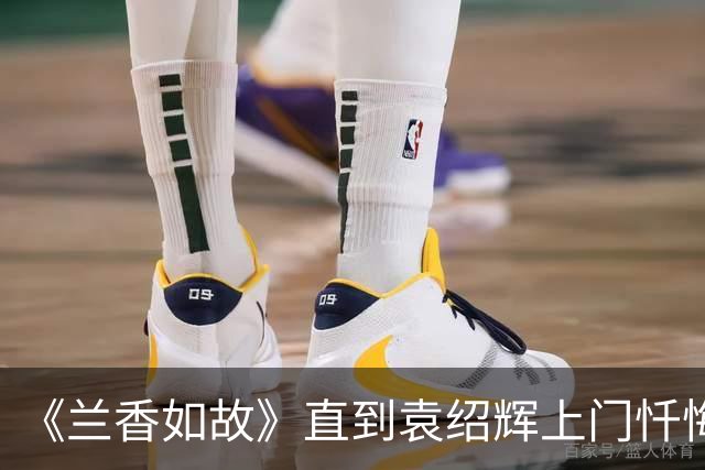 《兰香如故》直到袁绍辉上门忏悔，林锦岐才知，许兰香还有隐瞒